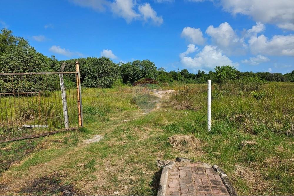 Terreno - Venda - Cabo de Santo Agostinho , Pernambuco - WhatsApp Image 2025-09-29 at 11.24.55 (1).jpeg - 850281011-134