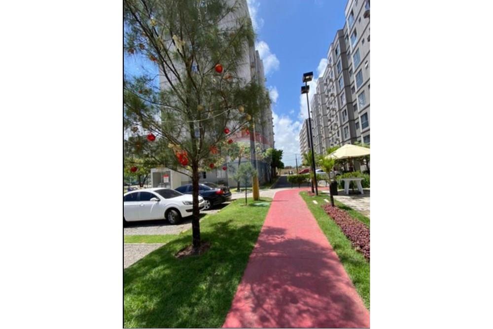 Apartamento - Venda - Jaboatão dos Guararapes , Pernambuco - 39ca779c-52f5-4942-8829-b68f0ae4d671.jpg - 850091013-329