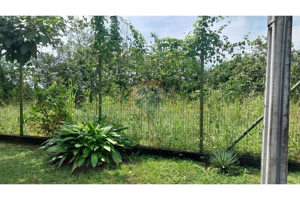 Apartamento - Venda - Jaboatão dos Guararapes , Pernambuco - cb873163-c2df-4096-a852-f4220155fd18.jpeg - 850251079-57