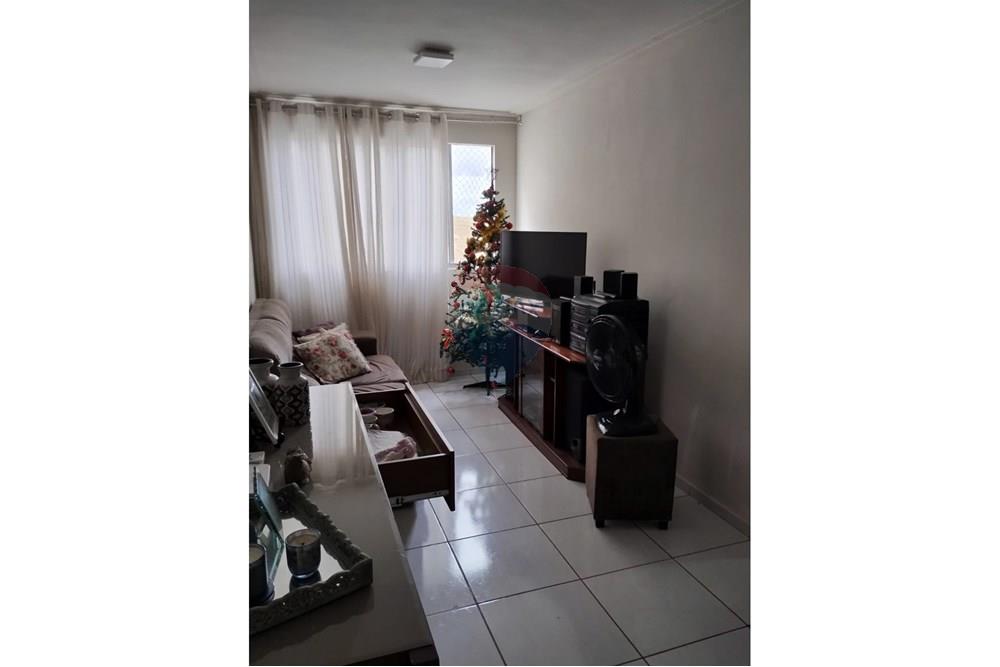Apartamento - Venda - Ipojuca , Pernambuco - WhatsApp Image 2025-10-13 at 12.52.12 (4).jpeg - 850281039-25