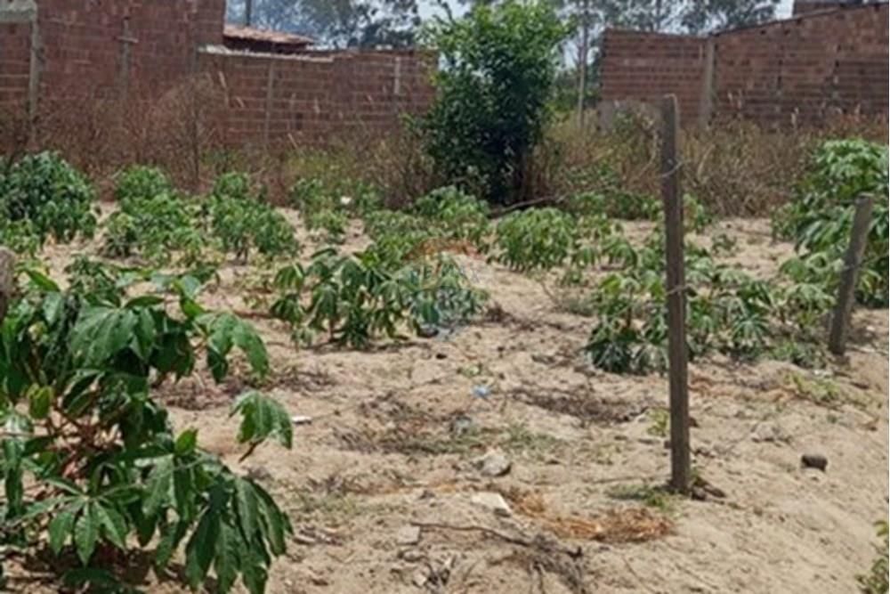 Terreno - Venda - Lajedo , Pernambuco - WhatsApp Image 2025-11-23 at 12.54.15 PM (1).jpeg - 850131012-48