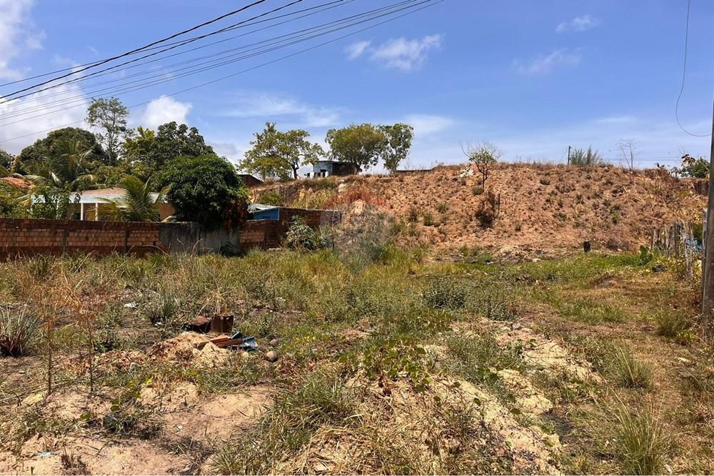 Terreno - Venda - Cabo de Santo Agostinho , Pernambuco - WhatsApp Image 2026-02-03 at 12.21.13.jpeg - 850281001-64