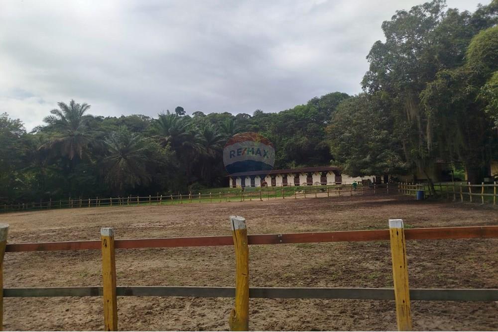 Casa - Venda - Camaragibe , Pernambuco - WhatsApp Image 2025-07-16 at 12.28.28.jpeg - 850721002-114