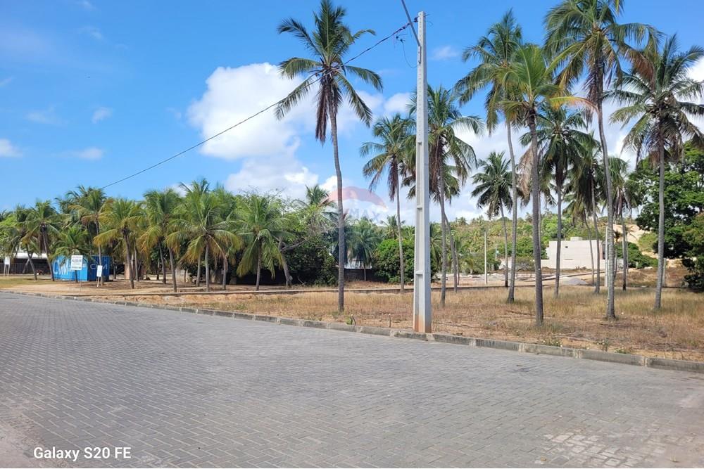 Terreno - Venda - Maragogi , Alagoas - 20251127_082931.jpg - 850291026-17