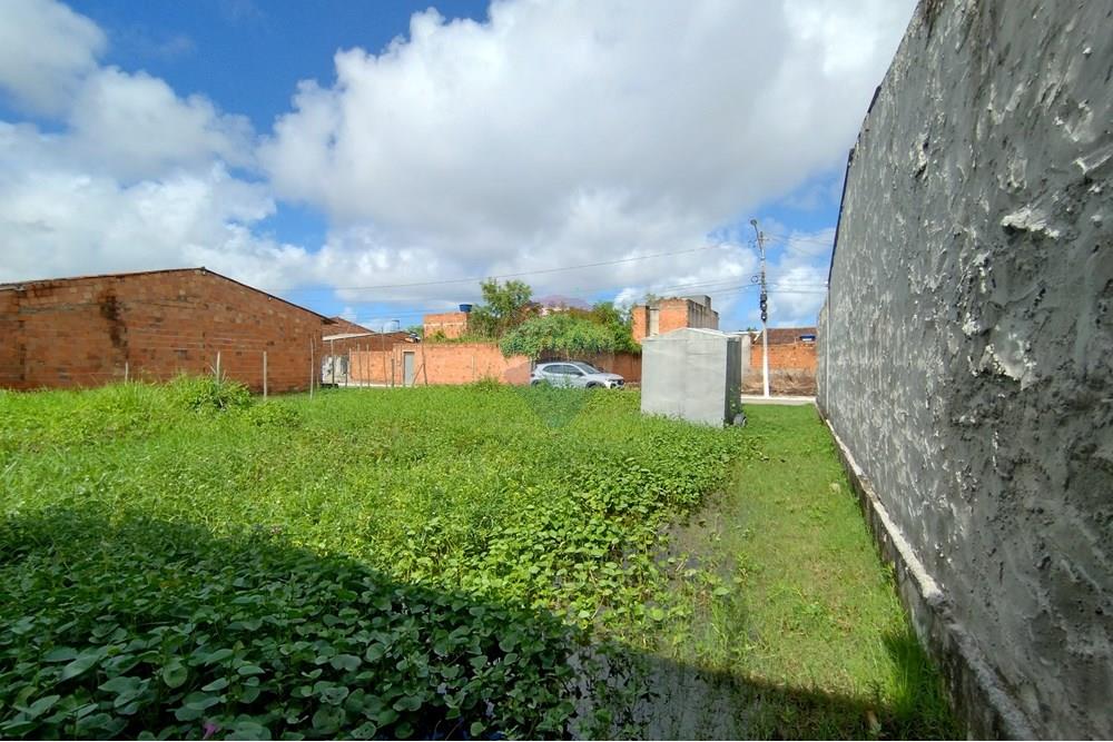 Terreno - Venda - Marechal Deodoro , Alagoas - IMG_20250605_131256897_HDR.jpg - 850651033-4
