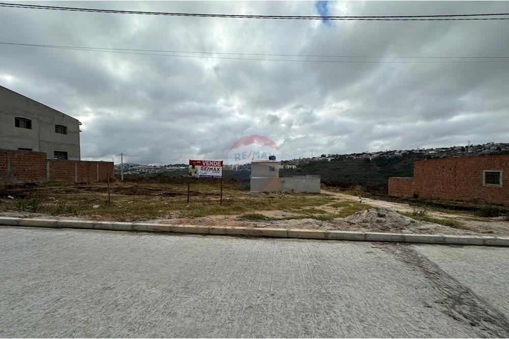 Terreno - Venda - Garanhuns , Pernambuco - WhatsApp Image 2025-01-08 at 17.00.51 (13).jpeg - 850131003-371