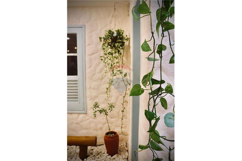 Cj. Comercial/ Sala - Alugar - Ipojuca , Pernambuco - 24 - 850221002-497