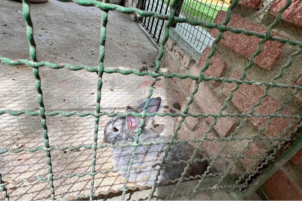 Casa - Venda - Gravatá , Pernambuco - Imagem do WhatsApp de 2025-07-28 à(s) 17.15.34_20bb1f0d.jpg - 850301001-342