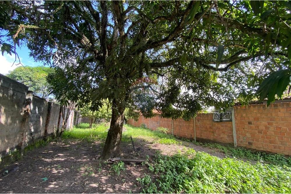 Terreno - Venda - Maceió , Alagoas - WhatsApp Image 2025-09-19 at 4.40.40 PM (5).jpeg - 850271154-83