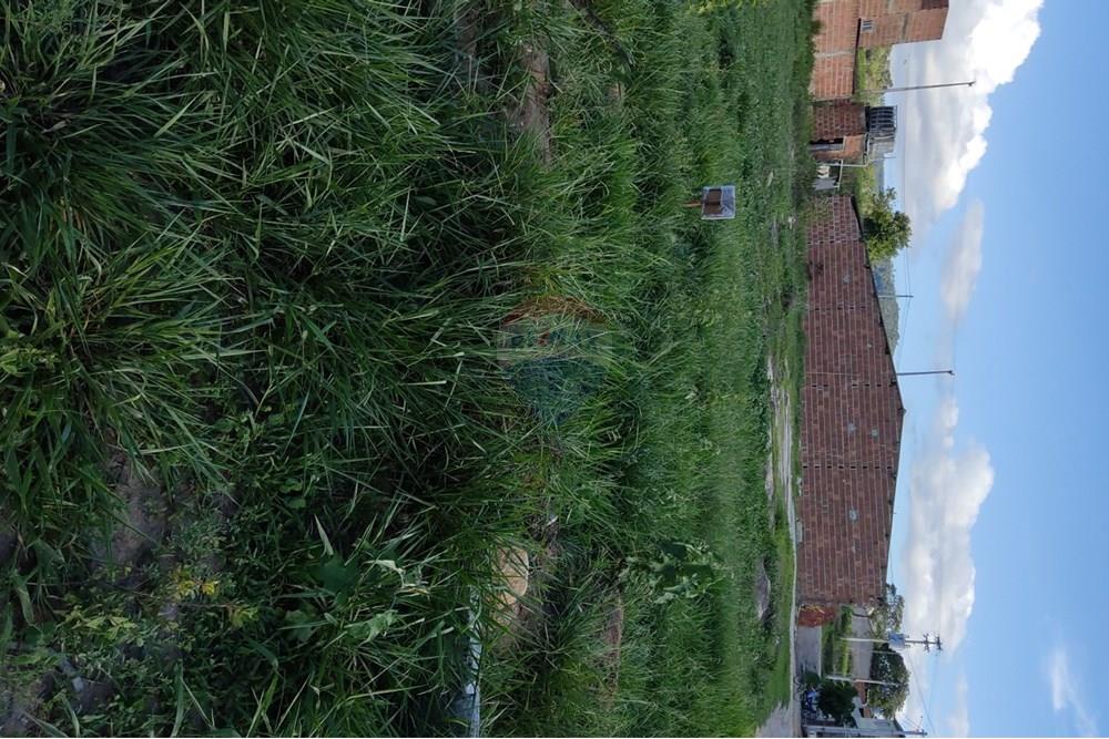 Terreno - Venda - Bonito , Pernambuco - WhatsApp Image 2025-03-10 at 08.44.21 (1).jpeg - 850051012-95