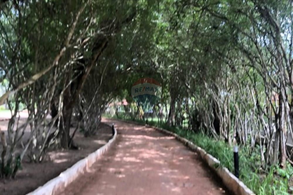 Casa de Condomínio - Venda - Camaragibe , Pernambuco - WhatsApp Image 2025-04-22 at 12.05.54.jpg - 850701005-305