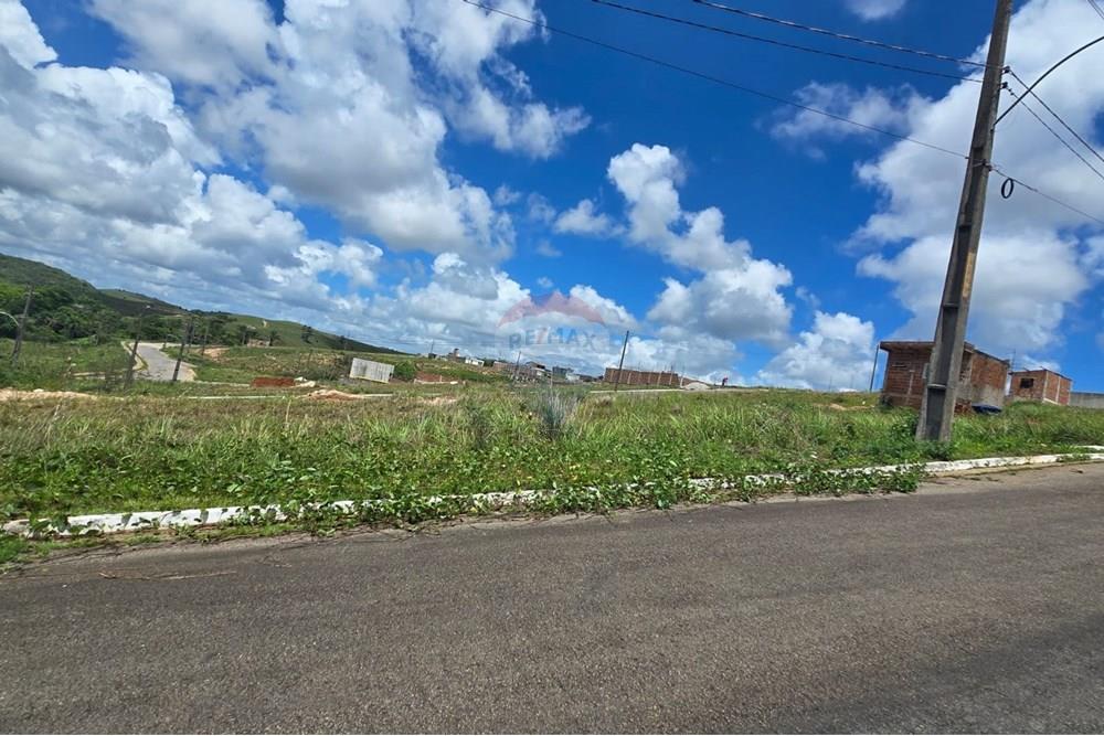 Terreno - Venda - Cabo de Santo Agostinho , Pernambuco - WhatsApp Image 2025-02-10 at 14.20.08 (1).jpeg - 850281036-51