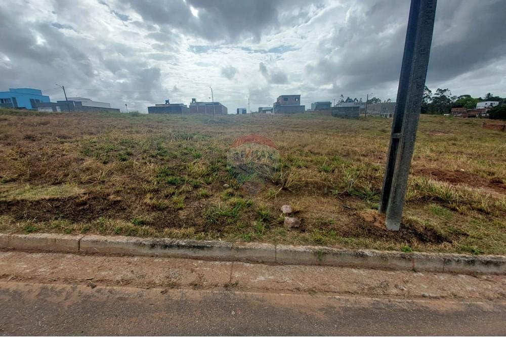Terreno - Venda - Cabo de Santo Agostinho , Pernambuco - WhatsApp Image 2024-12-23 at 13.07.22 (1).jpeg - 850281036-43