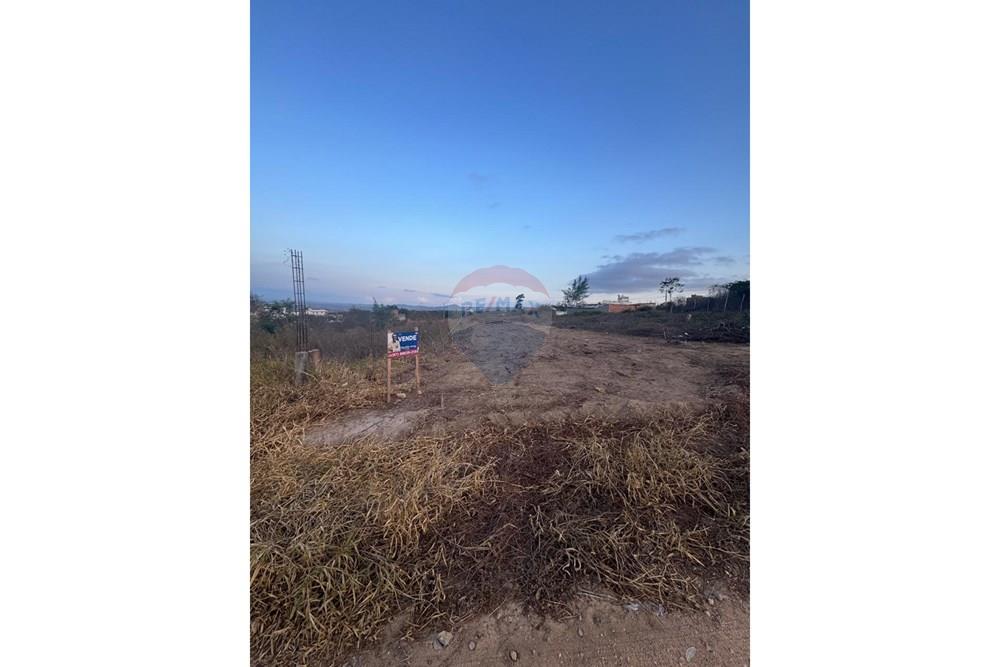 Terreno - Venda - Garanhuns , Pernambuco - WhatsApp Image 2026-01-14 at 13.56.58 (1).jpeg - 850131003-529
