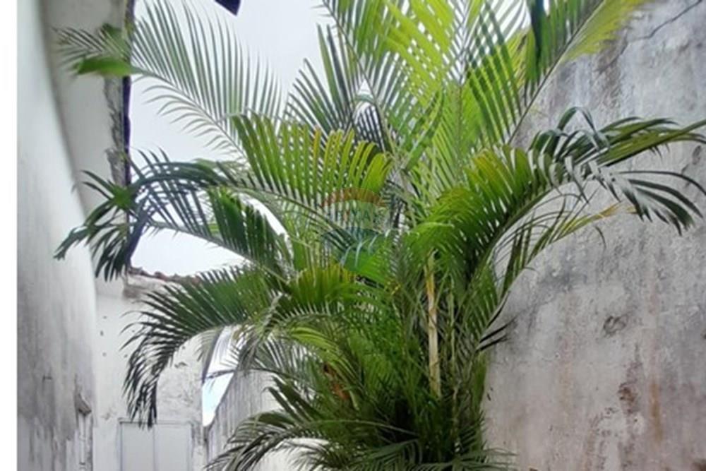 Casa - Venda - Rio Largo , Alagoas - IMG-20251023-WA0115.jpg - 850271265-4