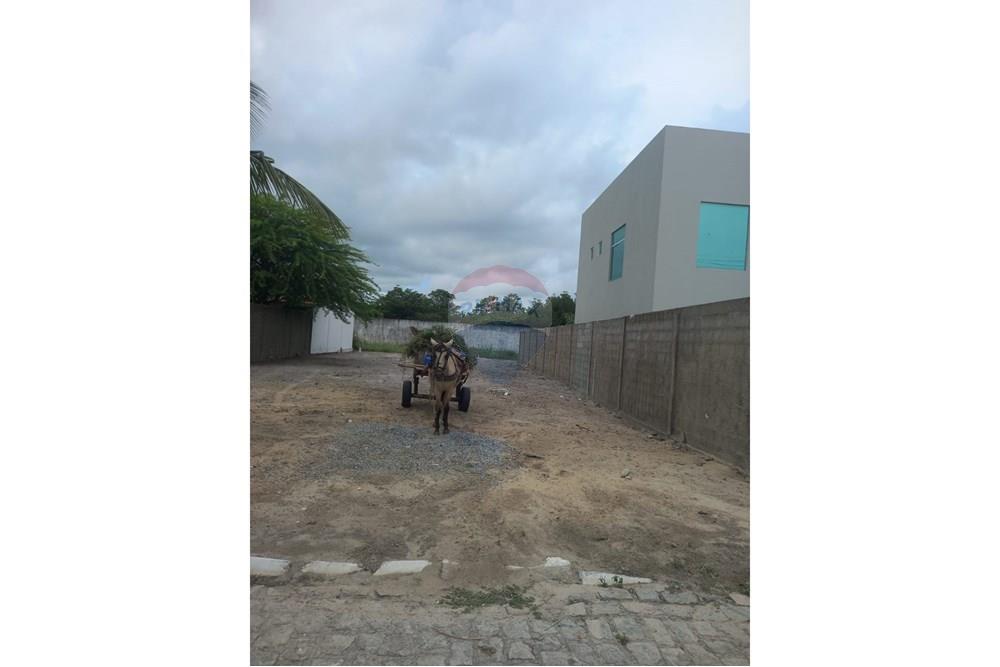 Terreno - Venda - Marechal Deodoro , Alagoas - Imagem do WhatsApp de 2025-09-01 à(s) 15.51.26_a5c042c2.jpg - 850711020-6