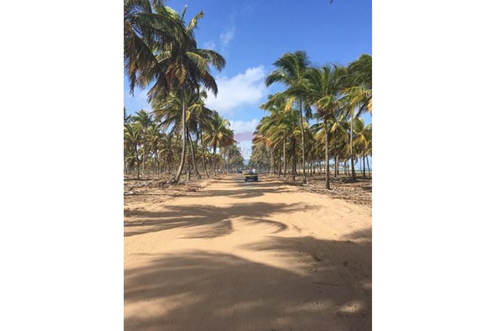 Terreno - Venda - Ipojuca , Pernambuco - ponta-a-ponta-maracaipe.jpg - 850221031-275