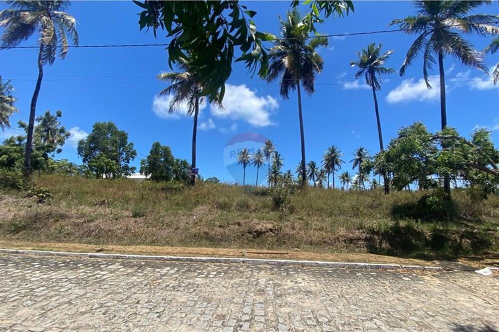 Terreno - Venda - Maragogi , Alagoas - IMG_1526.jpg - 850271264-8