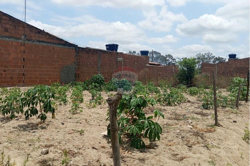 Terreno - Venda - Lajedo , Pernambuco - WhatsApp Image 2025-11-23 at 12.54.15 PM (3).jpeg - 850131012-48
