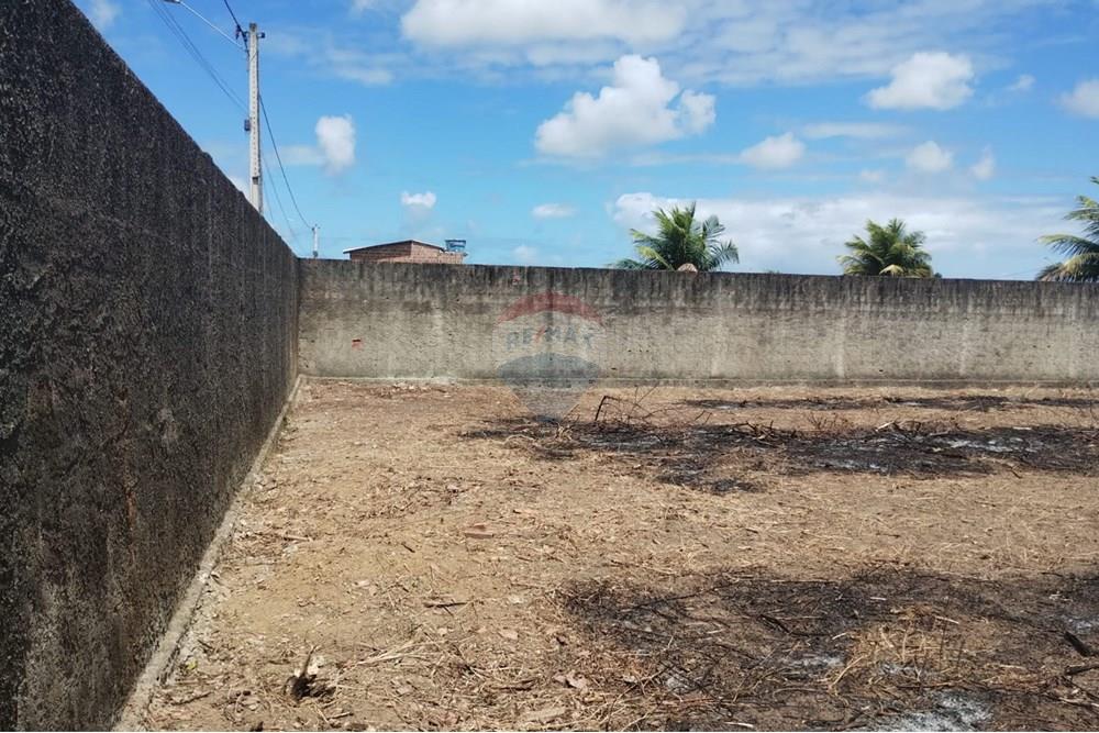 Terreno - Venda - Abreu e Lima , Pernambuco - WhatsApp Image 2025-10-22 at 15.24.19 (2).jpeg - 850721009-19