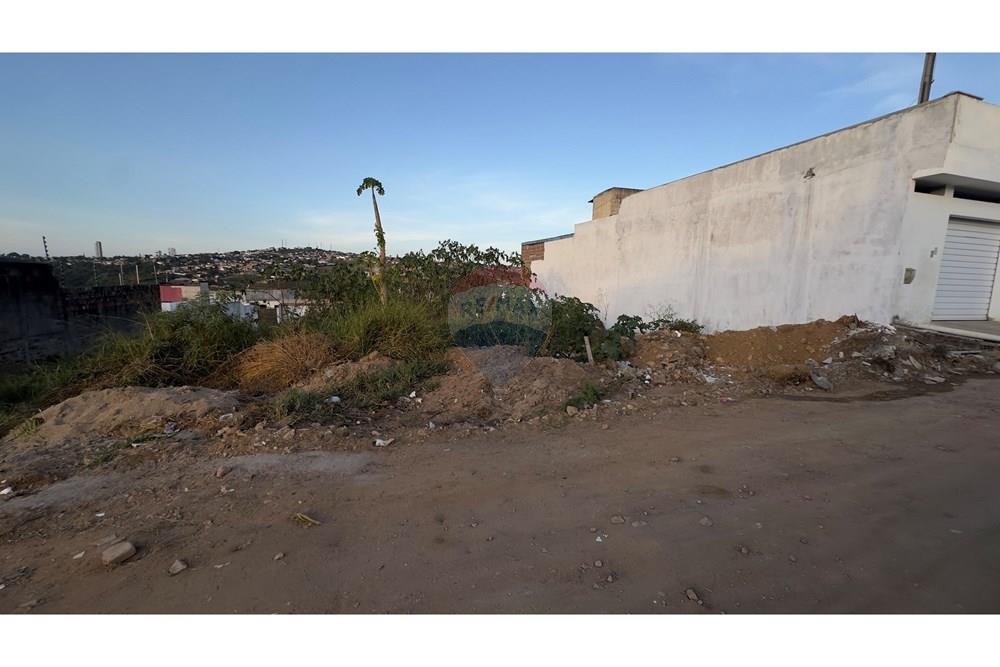 Terreno - Venda - Garanhuns , Pernambuco - IMG_2392.jpeg - 850741004-297