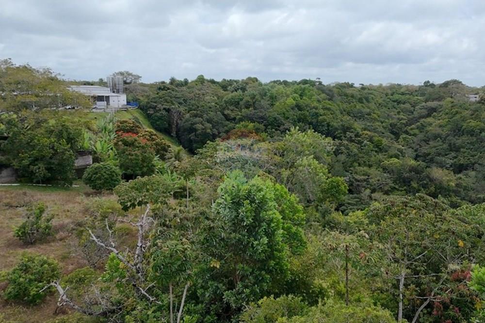 Chácara / Sítio / Fazenda - Venda - Recife , Pernambuco - WhatsApp Image 2025-10-09 at 14.41.55 (2).jpeg - 850071019-216