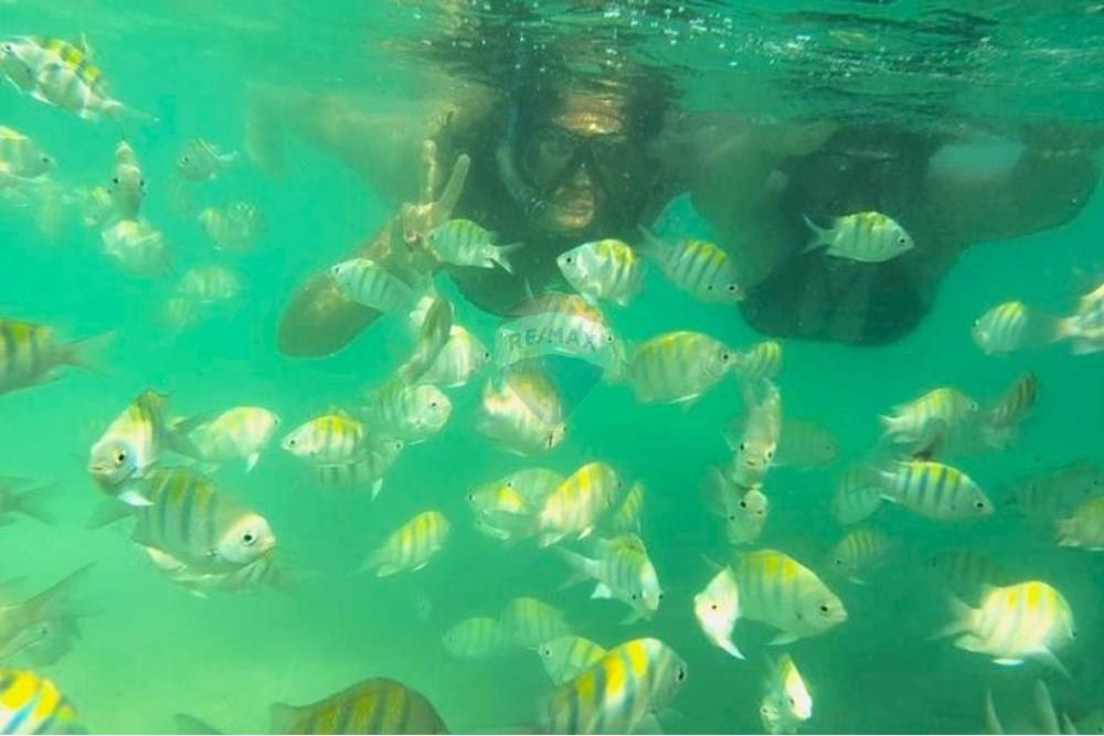 Terreno - Venda - Porto de Pedras , Alagoas - 35.jpg - 850271286-55