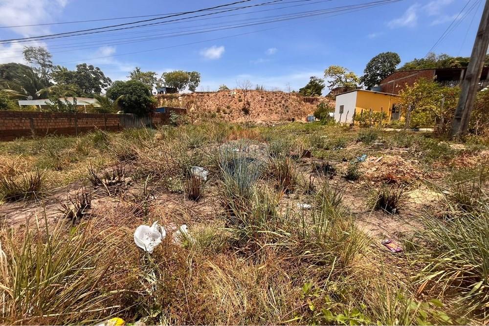 Terreno - Venda - Cabo de Santo Agostinho , Pernambuco - WhatsApp Image 2026-02-03 at 12.21.29 (2).jpeg - 850281001-64