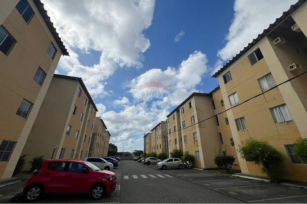 Apartamento - Venda - Olinda , Pernambuco - WhatsApp Image 2024-11-11 at 14.30.00 (1).jpeg - 850301001-303