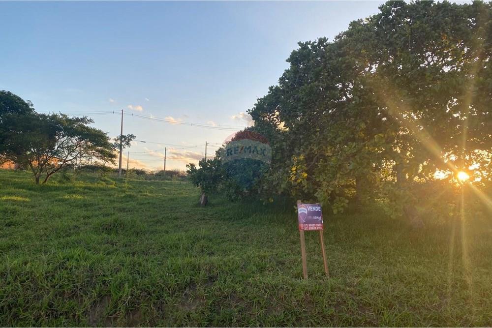 Terreno - Venda - Garanhuns , Pernambuco - WhatsApp Image 2026-03-27 at 15.40.55 (1).jpeg - 850741009-1