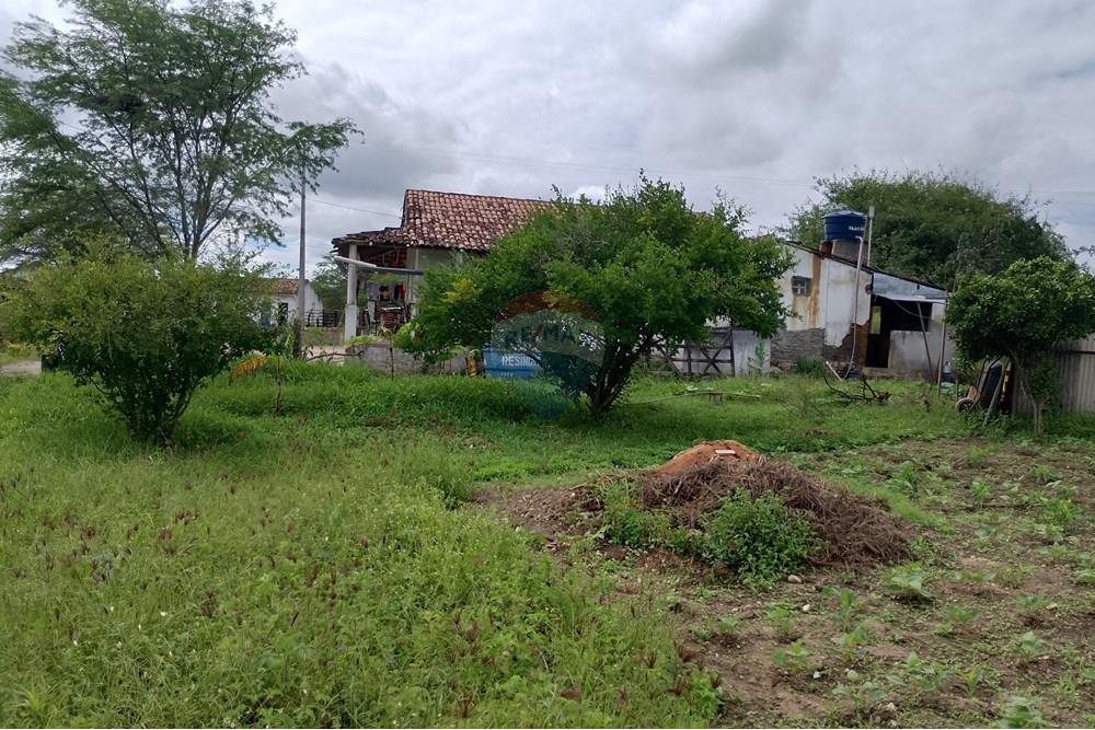 Chácara / Sítio / Fazenda - Venda - Lajedo , Pernambuco - IMG_20250616_110209_HDR.jpg - 850131018-51