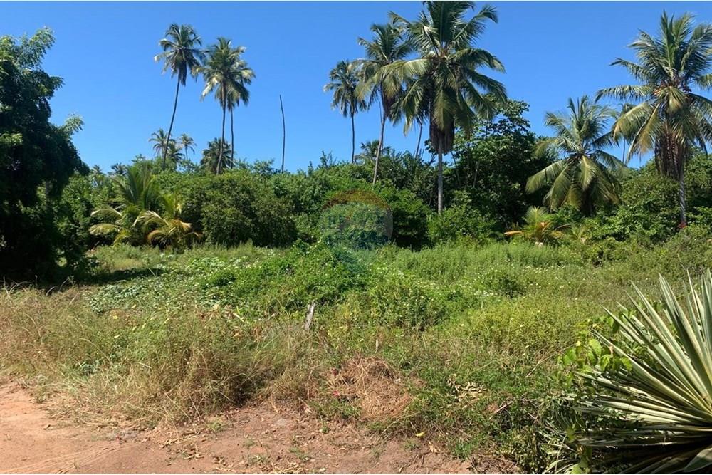 Terreno - Venda - Porto de Pedras , Alagoas - 8.jpg - 850271286-55