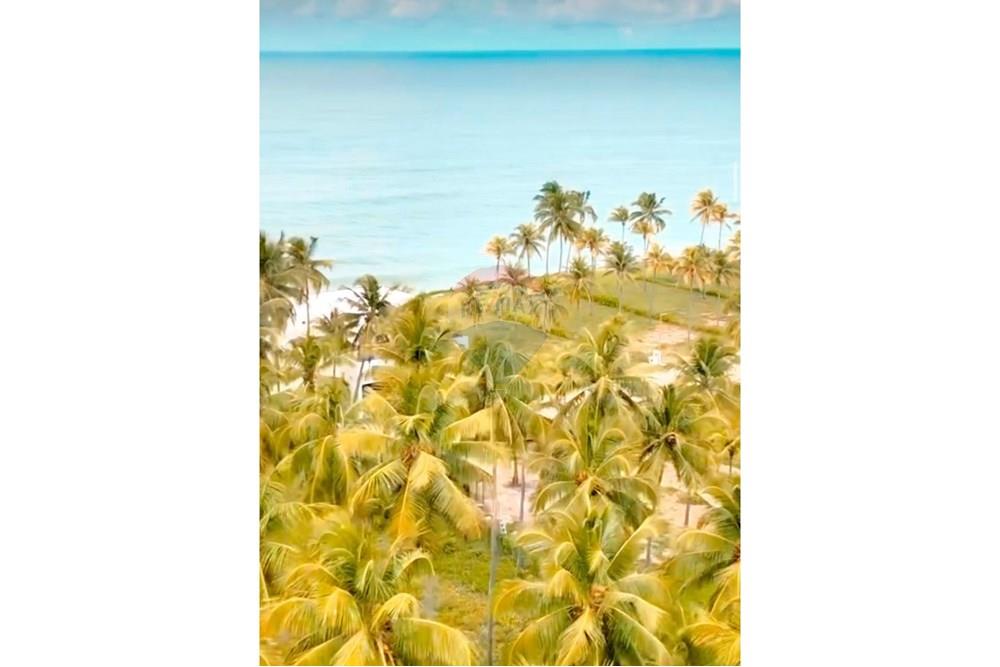 Apartamento - Venda - Barra de São Miguel , Alagoas - caqueiral.jpg - 850651001-260