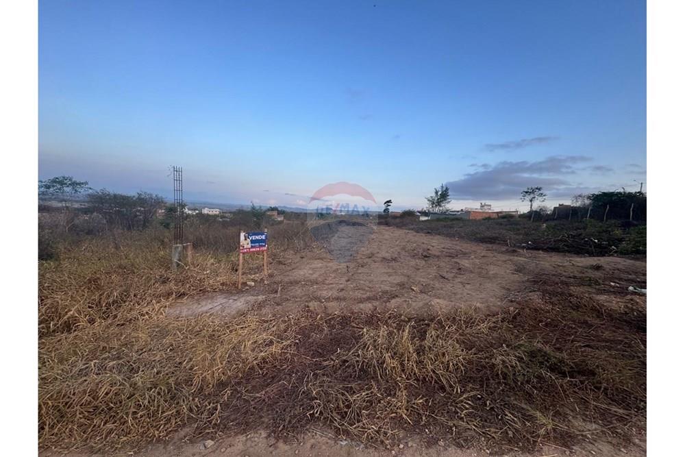 Terreno - Venda - Garanhuns , Pernambuco - WhatsApp Image 2026-01-14 at 13.56.58 (4).jpeg - 850131003-529