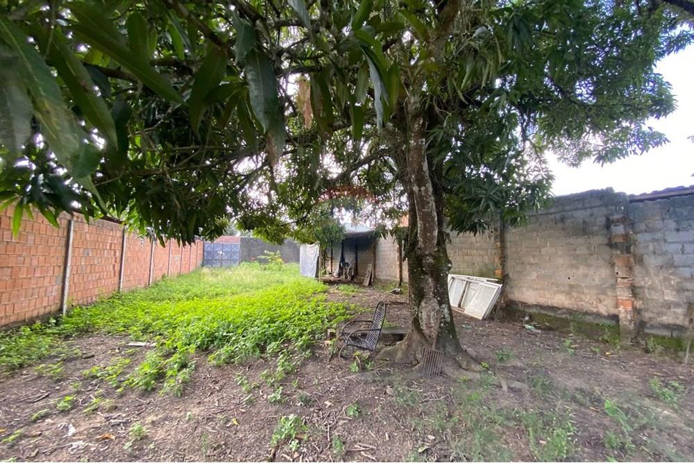 Terreno - Venda - Maceió , Alagoas - WhatsApp Image 2025-09-23 at 19.04.56 (1).jpeg - 850271154-83