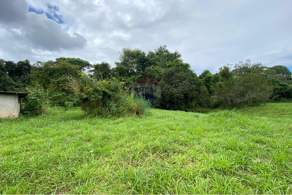 Chácara / Sítio / Fazenda - Venda - Camaragibe , Pernambuco - 99bdd33f-ce28-42bd-b9f6-a6f580303e47.jpg - 850191067-47