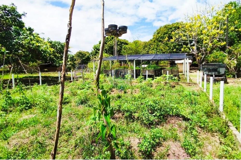 Chácara / Sítio / Fazenda - Alugar - Igarassu , Pernambuco - WhatsApp Image 2025-01-23 at 15.12.02 (1).jpeg - 850071019-200