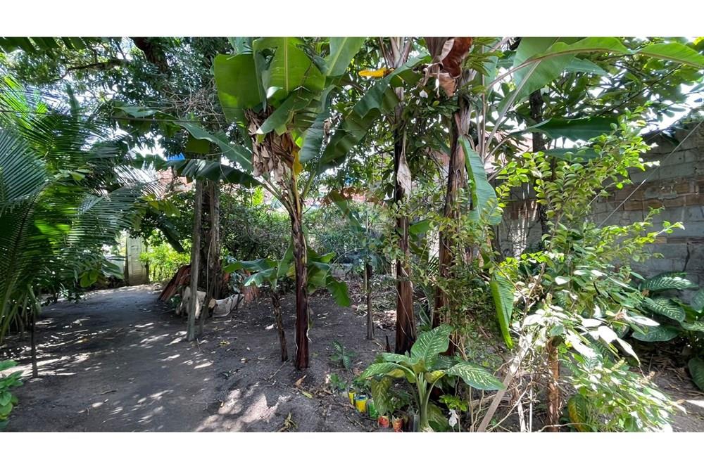 Chácara / Sítio / Fazenda - Venda - Maceió , Alagoas - 34c65db8-cf7b-4eb0-a924-c0ad3ee927fe.jpeg - 850271147-49