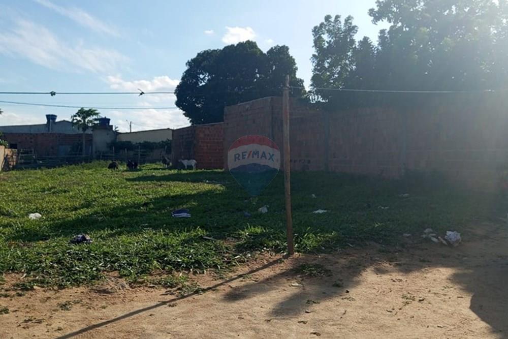 Terreno - Venda - Lajedo , Pernambuco - WhatsApp Image 2026-01-09 at 10.26.24.jpeg - 850131012-51