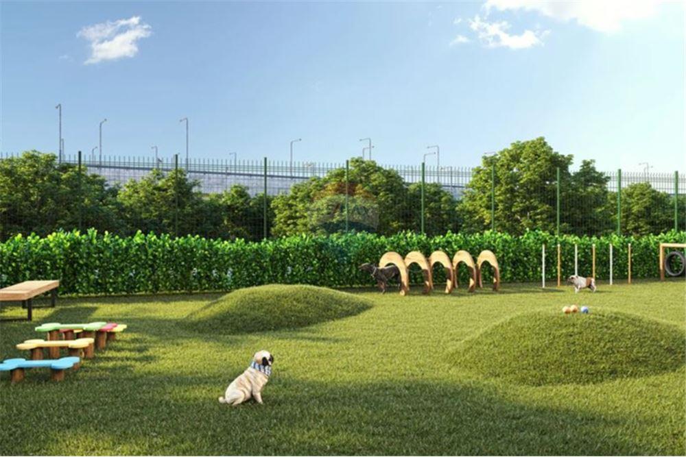 Apartamento - Venda - Recife , Pernambuco - 16 - 850071033-24