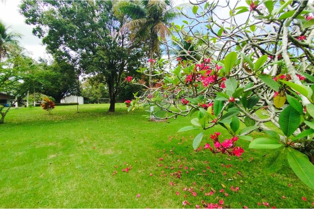 Chácara / Sítio / Fazenda - Venda - Recife , Pernambuco - WhatsApp Image 2025-10-07 at 10.10.47 (2).jpeg - 850071019-216