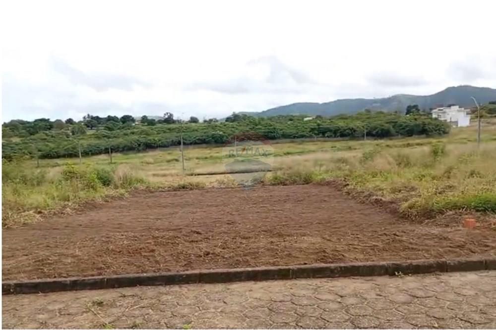Terreno - Venda - Palmeira dos Índios , Alagoas - WhatsApp Image 2025-11-14 at 16.46.54.jpeg - 850271243-9