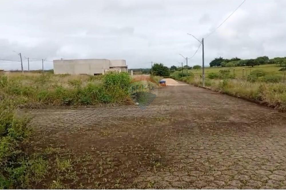 Terreno - Venda - Palmeira dos Índios , Alagoas - WhatsApp Image 2025-11-14 at 16.47.15.jpeg - 850271243-9