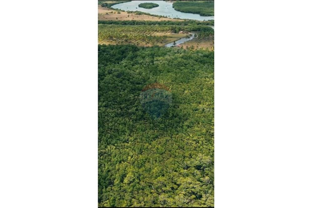 Chácara / Sítio / Fazenda - Venda - Marechal Deodoro , Alagoas - WhatsApp Image 2026-01-09 at 11.31.00 (3).jpeg - 850711032-23