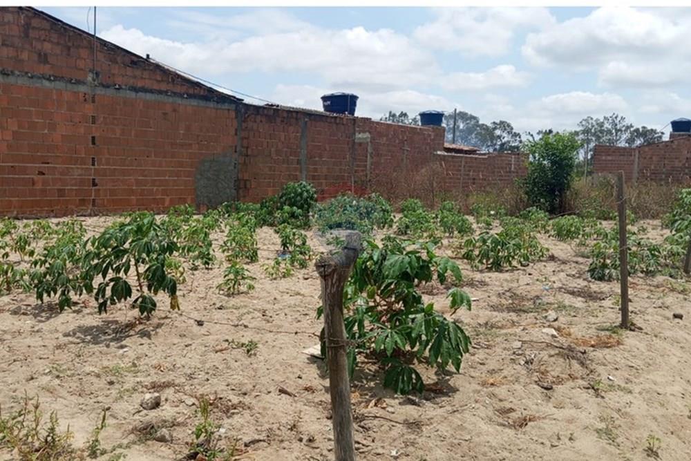 Terreno - Venda - Lajedo , Pernambuco - WhatsApp Image 2025-11-23 at 12.54.15 PM (1).jpeg - 850131012-48