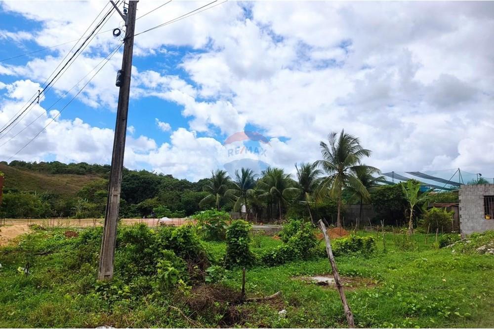 Terreno - Venda - Cabo de Santo Agostinho , Pernambuco - WhatsApp Image 2025-11-14 at 09.22.28 (1).jpeg - 850281001-56