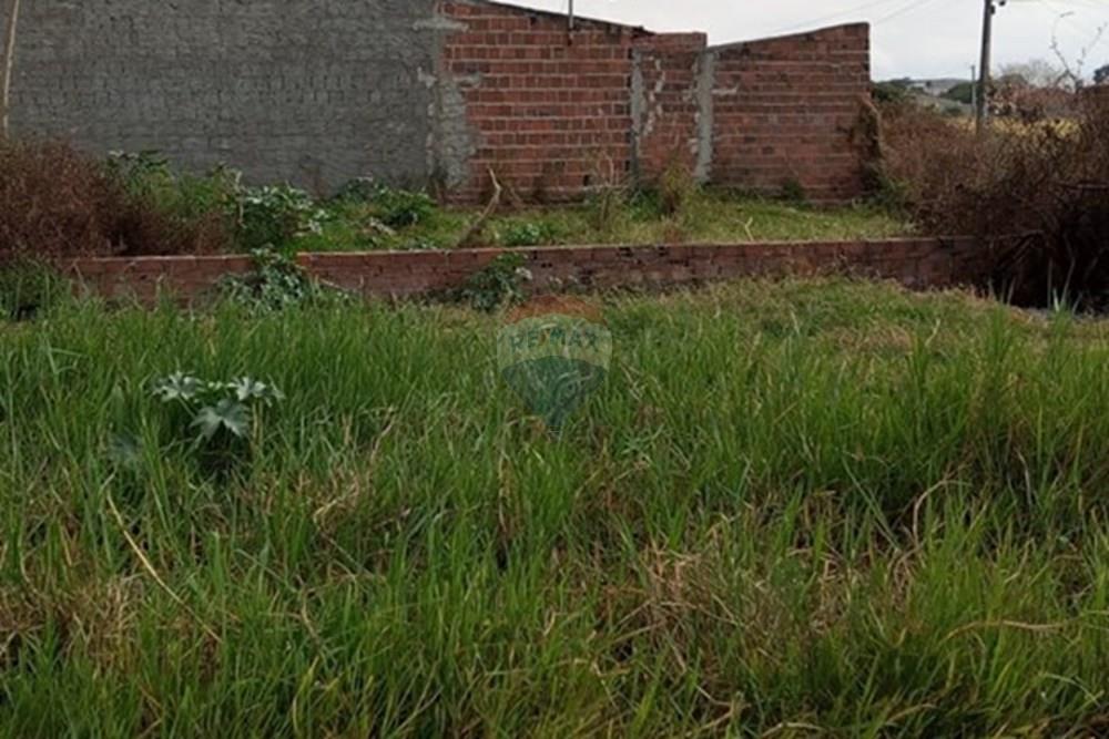 Terreno - Venda - Lajedo , Pernambuco - WhatsApp Image 2025-11-17 at 12.26.38 PM (2).jpeg - 850131012-49