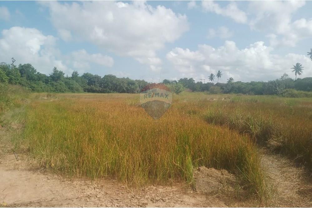 Terreno - Venda - Cabo de Santo Agostinho , Pernambuco - WhatsApp Image 2025-11-07 at 16.57.03 (1).jpeg - 850281011-134