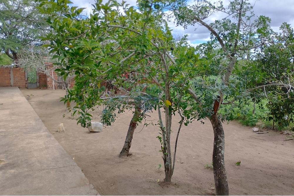 Casa de Campo - Venda - Lajedo , Pernambuco - IMG_20250530_105441_HDR.jpg - 850131018-47