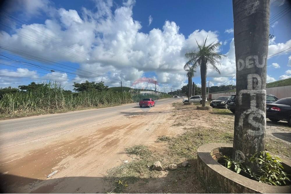 Terreno - Alugar - Ipojuca , Pernambuco - WhatsApp Image 2025-05-28 at 16.24.50.jpeg - 850091046-354